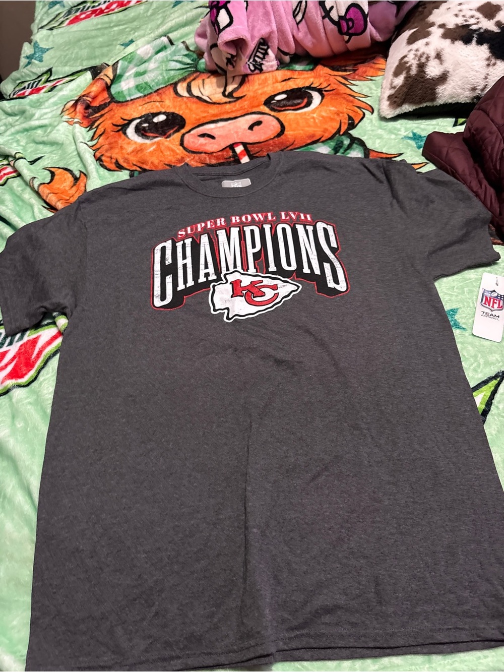 NFL Kansas City Chiefs Gray Champions T-Shirt